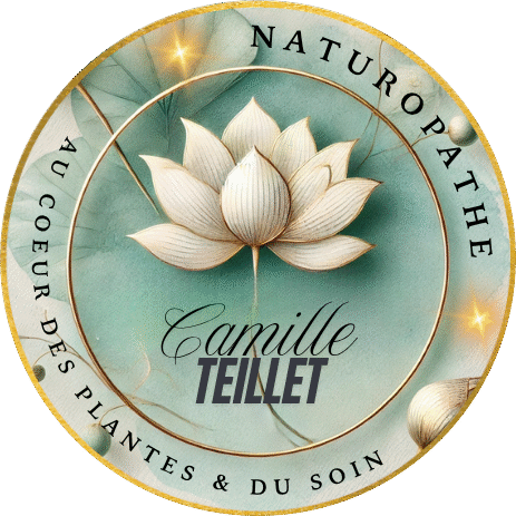 camilleteillet.fr